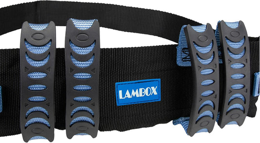 Gait Belt Walking Transfer Belt with 6 Plastic Padded Caregiver Handles and Quick Release Buckle for Patient,Elderly Physical Therapy(6 Blue Handles with Plastic Buckle 54")