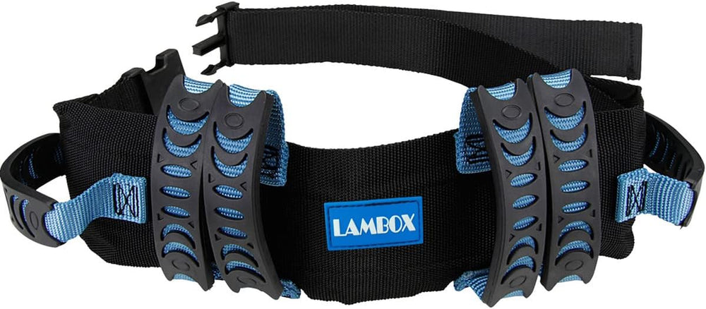 Gait Belt Walking Transfer Belt with 6 Plastic Padded Caregiver Handles and Quick Release Buckle for Patient,Elderly Physical Therapy(6 Blue Handles with Plastic Buckle 54")