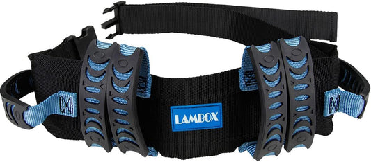 Gait Belt Walking Transfer Belt with 6 Plastic Padded Caregiver Handles and Quick Release Buckle for Patient,Elderly Physical Therapy(6 Blue Handles with Plastic Buckle 54")