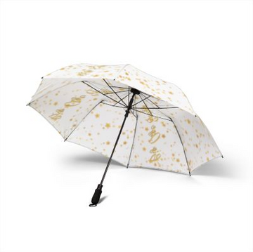 Big Age Energy Umbrella