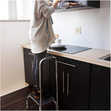 Step Stool with Handle and Non Skid Rubber Platform, Lightweight and Sturdy Stool for Seniors, Adults and Children, Holds up to 300 Pounds with 9.5 Inch Step Up, 17.3"D X 12.3"W X 34"H, Chrome