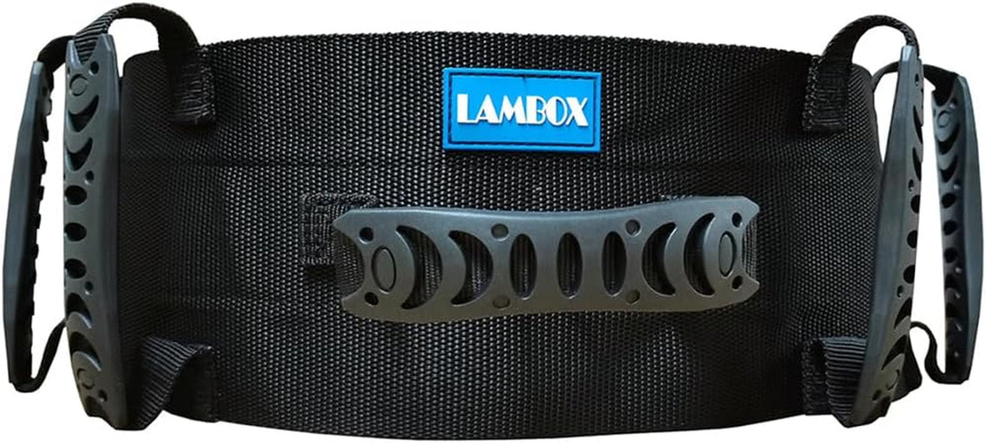 Gait Belt Transfer Belt with Plastic Handles-Medical Nursing Safety Patient Assist for Occupational & Physical Therapy, Seniors with Metal Buckle 55"